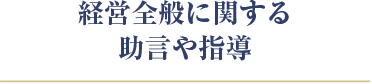 経営全般に関する助言や指導